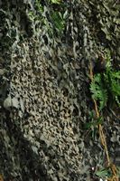Camouflage net, Green, large