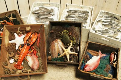 Crate with Seafood