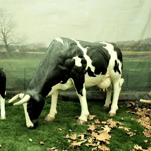 Cow, Grazing, life-size,  black/white