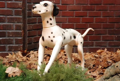 Dog    Dalmatier