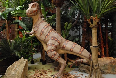 Dinosaur  Tyranosaurus Rex  (Cretaceous)