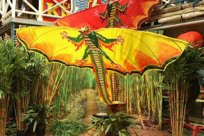 Dragon flying (kite)