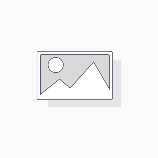 Fog generator
