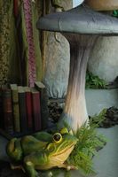Frog with crown
