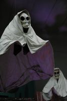 Ghost with Skull