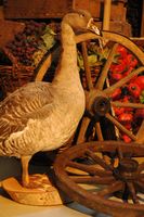 Goose  stuffed   one white ,one brown