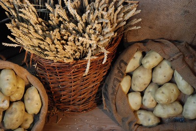 Basket with Grain 