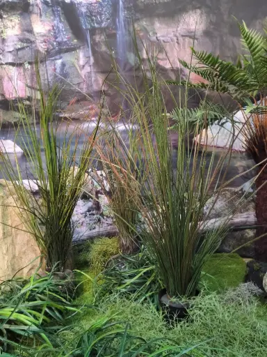Grass High Vertical