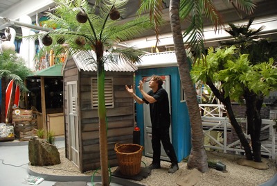 Game, Catch a Coconut,  220v