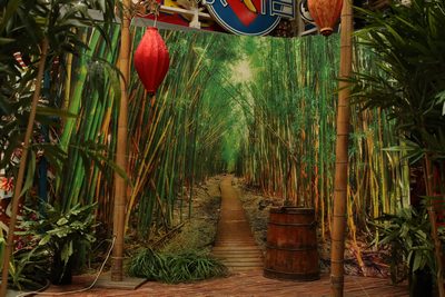 Lampion on post . 220v