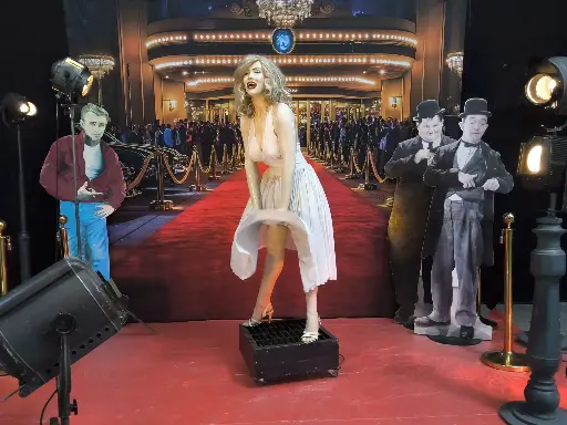 Marilyn Monroe 220v
