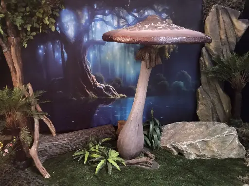 Mushroom   Fungus