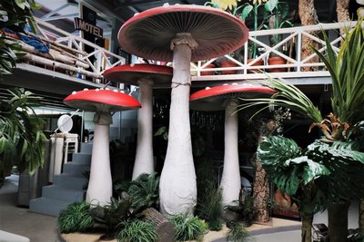 Mushroom, Red with dots, XXL