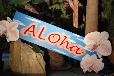 Panel, ""Aloha""