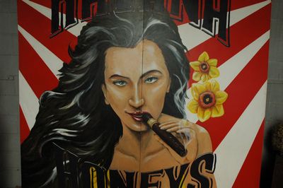 Panel XL, ""Havana Honeys""