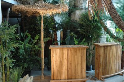 Parasol, Straw