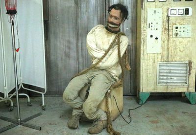 Person in Straightjacket, Animatronics 220v