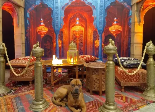 Maroccan Cordon Pole,  a pc.