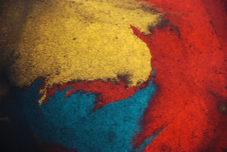 Projector, Flower power