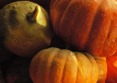 Pumpkin, small
