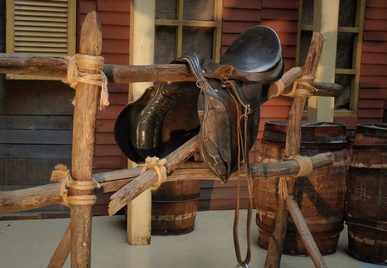 Saddle