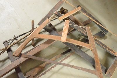 Bow-Saw