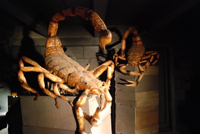 Scorpion on a High Crate