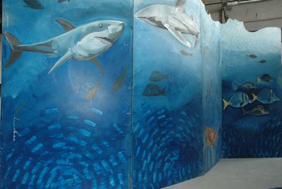 Screen, Underwater-world