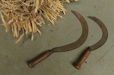 Sickle