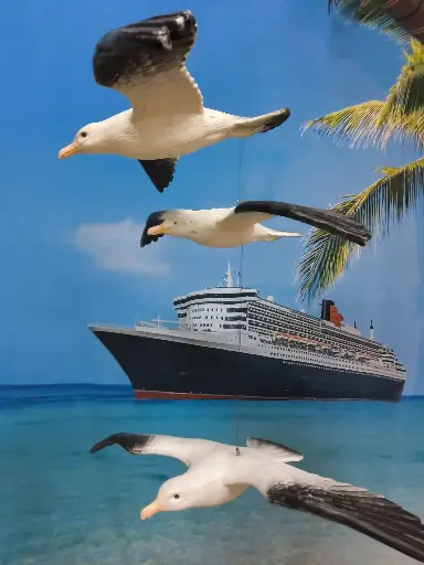 Seagull in plastic