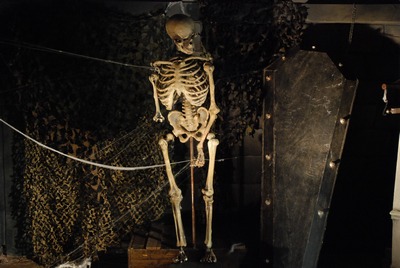 Skeleton in/standing on  a Box