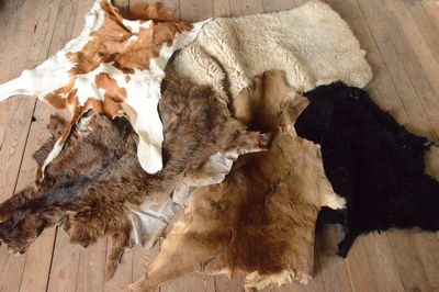 Huiden van allerlei kleine dieren
