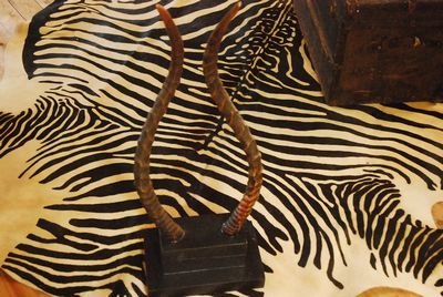 Hide of a Zebra       printed