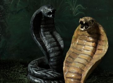 Snake, Cobra