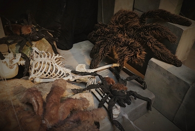 Spider,  Fun-Fur or half Latex Half Fur