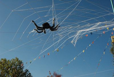 Spiderweb XL