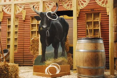 Game, Catch the a Bull