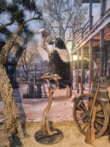 Vulture   on a  Branche