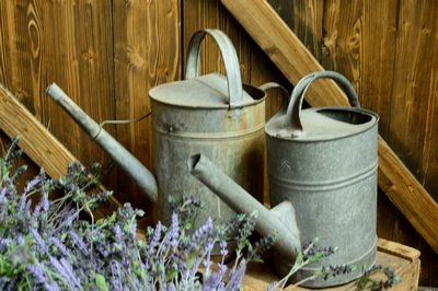 Watering can  tin