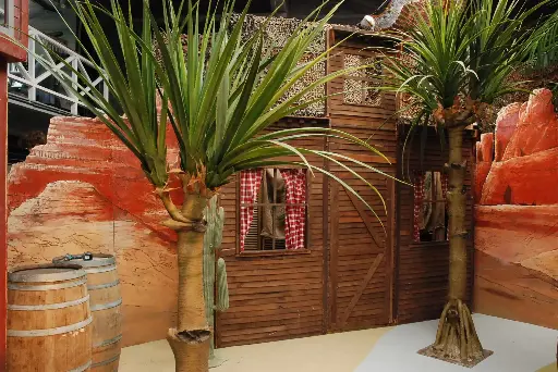 Yucca  Tree  3m   M