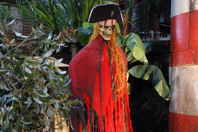 Pirate, Zombie, dead