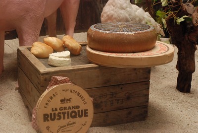 Case with 9 French &amp| Swiss Cheeses