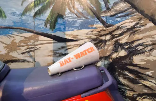 Baywatch Loudspeaker