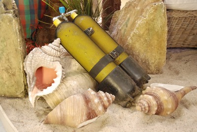 Shell medium