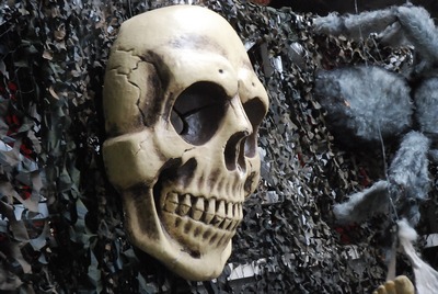 Skull Human  80  (semi 3D )